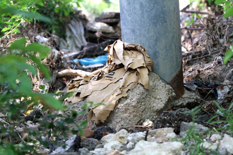 Nolan Creek polluted